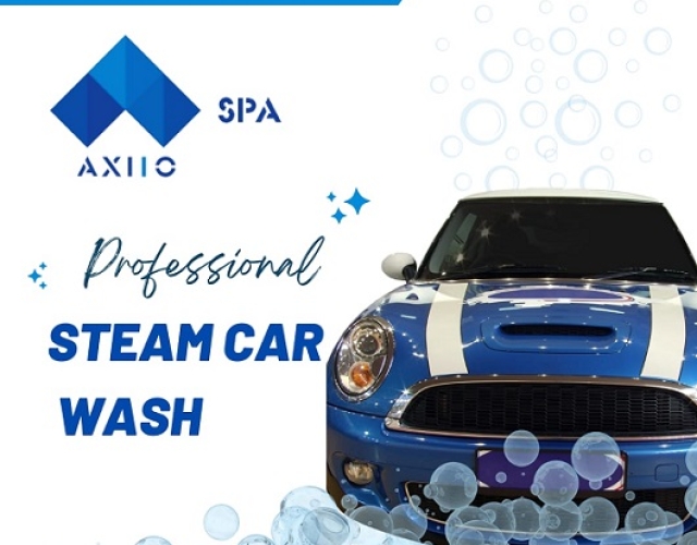 Axlo-Professional-Steam-wash.jpg