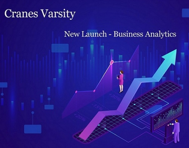 Business-Analytics-Cranes-Varsity.jpg