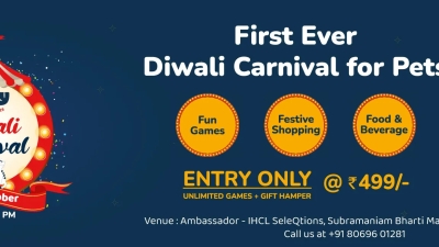 Diwali-carnival-1.jpg