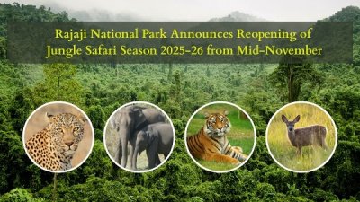 Rajaji-National-Park-Announces-Reopening-of-Jungle-Safari-Season-from-Mid-November.jpg