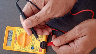 Researcher-Unveils-Simplest-Method-for-Measuring-Bio-Electricity-in-Rudraksha.png